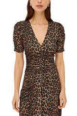 Rails Beacon Dress in Brown Nala